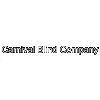 Carnival Blind