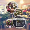 The Green Florist
