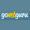 Go Web Guru