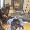 Long Life Stoves