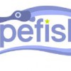 Pipefish Digital Marketing