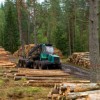Shropshire Forestry Contractors