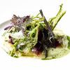 Elderflower Restaurant