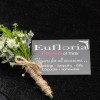 Eufloria Flowers of Thirsk