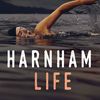 Harnham