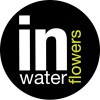 in water flowers