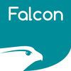 Falcon Property