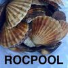 ROCPOOL