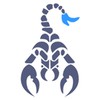Scorpion Shoes