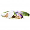 Vocal Reiki
