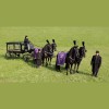 Bath Funeral Directors
