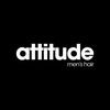 Attitude Men's Hair