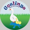 Goslings Day Nursery