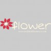 Enfield Flowers