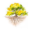 time to share counselling & psychotherapy