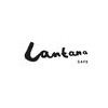 Lantana