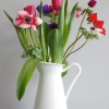 Barnsbury Therapy Rooms