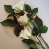Jefferies Funeral Directors