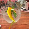 Il Salice Italian at The Willows Inn