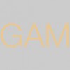 GAM HLS