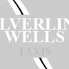 Silverline Wells