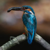 Unique Photography