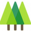 Lowfield Timber Frames