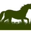 Godley Stud Farm
