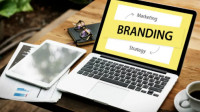 Brand Identity