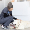 Heath Veterinary Clinic
