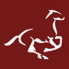 Trentvalley Equestrian