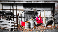 Shed Clearance and Removal