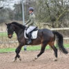 John Biggs Equestrian Training
