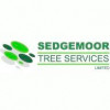 Sedgemoor Tree Services