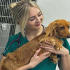 Oathall Veterinary Group