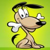 Stroud Dog Walking Services