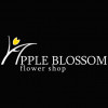 Apple Blossom