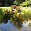 D Ferguson Landscaping Design