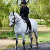 Parley Equestrian Centre