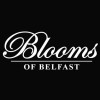 Blooms Of Belfast