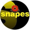 Snapes Estate Agents Bramhall