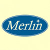 Merlin Financial Services