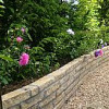 Manders Garden Services