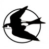 Swift Cleaners Services
