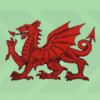 Red Dragon Removals