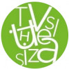 Visualizethis Creative Design Agency