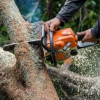 Cherry Tree Services