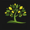 Lemon Tree Financial